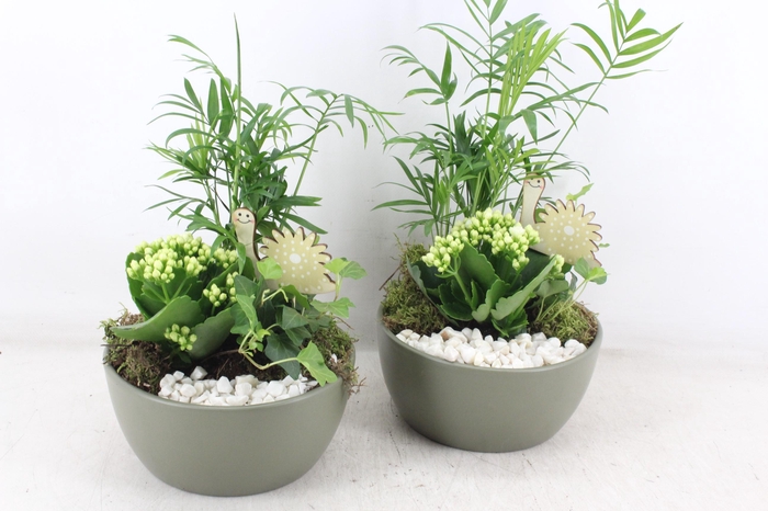 <h4>arr2 PL - Ker. lana groen 285/6 - wit</h4>