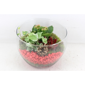 arr2 PL - Glas henrik - rood