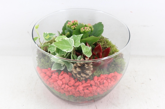 <h4>arr2 PL - Glas henrik - rood</h4>
