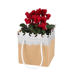 Bag Festive Stars cardboard 13x13xH15 silver 10/bag