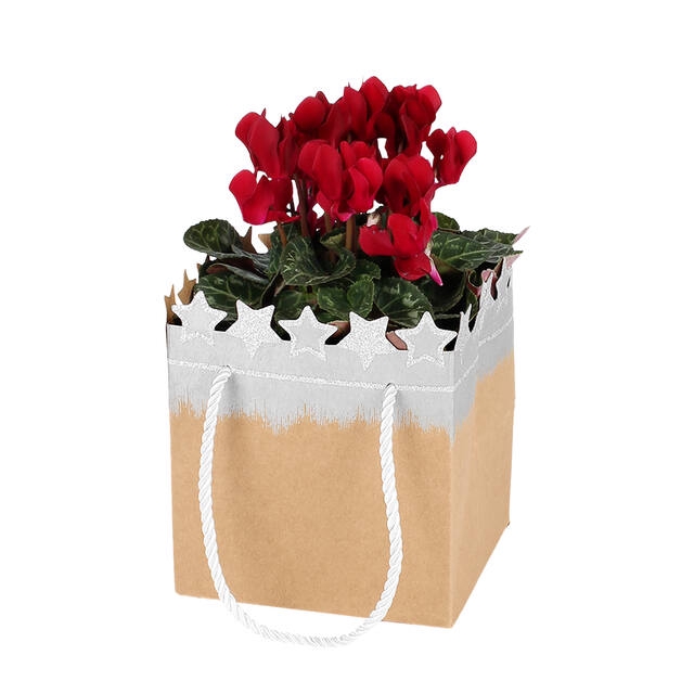 <h4>Bag Festive Stars cardboard 13x13xH15 silver 10/bag</h4>