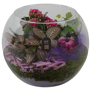 PTHG8217 Arrangement Autumn Glass in glazen vissenkom