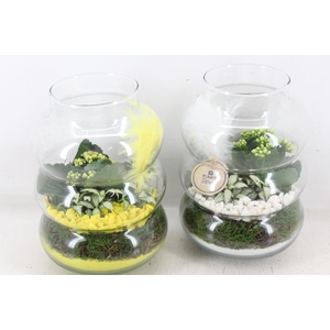 arr2 PL - Glas ringvaas - geel/wit