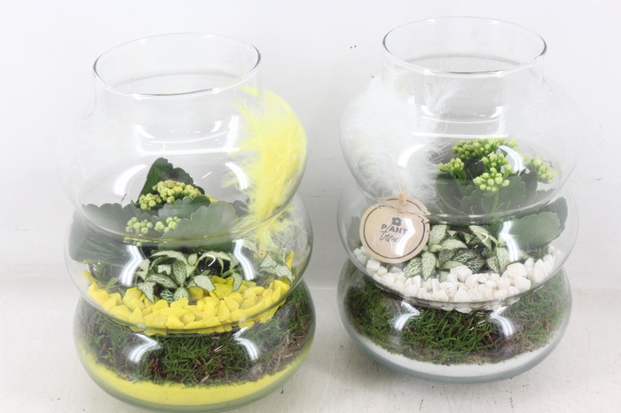 <h4>arr2 PL - Glas ringvaas - geel/wit</h4>