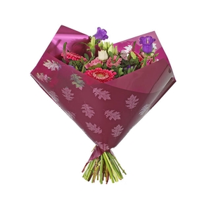 Hoes 35x35cm Oblique MOPP40 Clear Leaves aubergine 250/ds