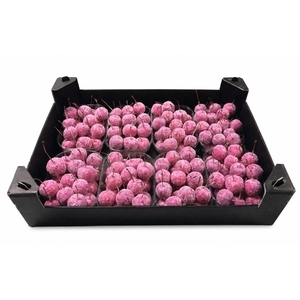 WAX APPEL H%