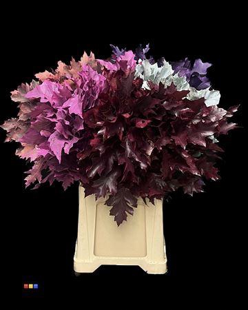 <h4>Eikeblad Mix 60cm</h4>