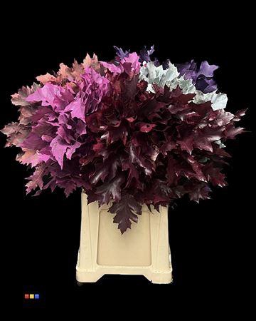 <h4>Eikeblad Mix 60cm</h4>