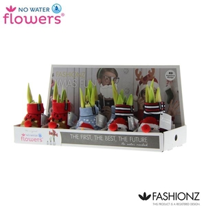 Hipp Waxz Fashionz Xmas