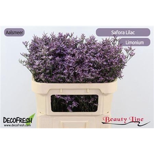 LIM SAF LILAC 70/30GR