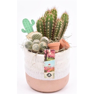 Keramiek pot wit/roze 14cm