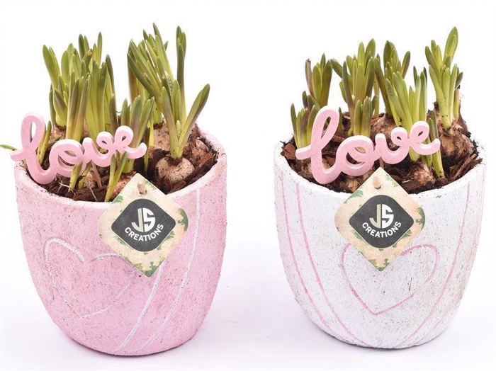 <h4>Cement pot met hart decor mix 14cm</h4>