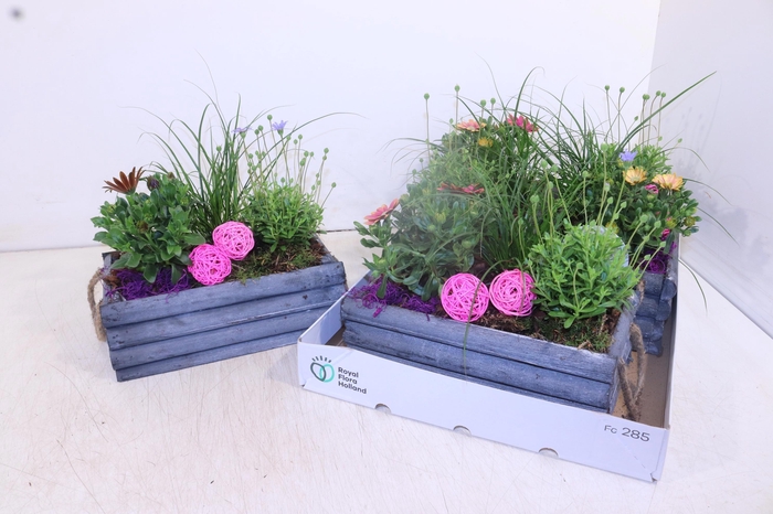 <h4>ARR TUINPLANTEN</h4>