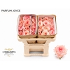 Rosa Parfum Joyce