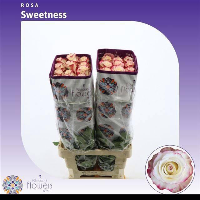 <h4>R GR SWEETNESS</h4>