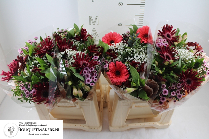 <h4>GEM BOEKET OV</h4>