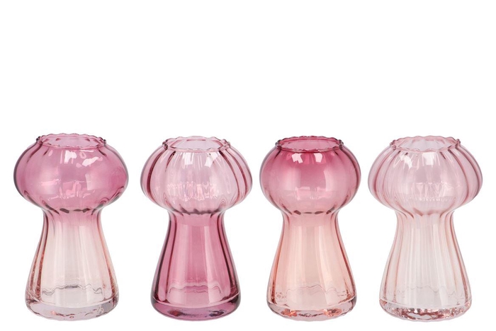 Nova Sweets Pink Vase Mushroom Structure Tricolor