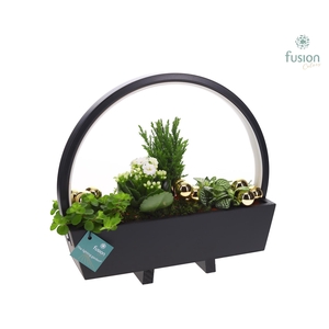 Lamp LED boog hout Kerst met arrangement