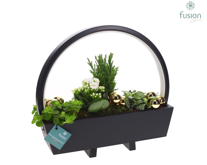 <h4>Lamp LED boog hout Kerst met arrangement</h4>