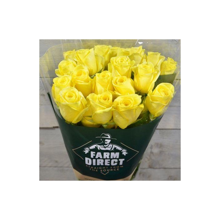 <h4>R Gr Hummer</h4>