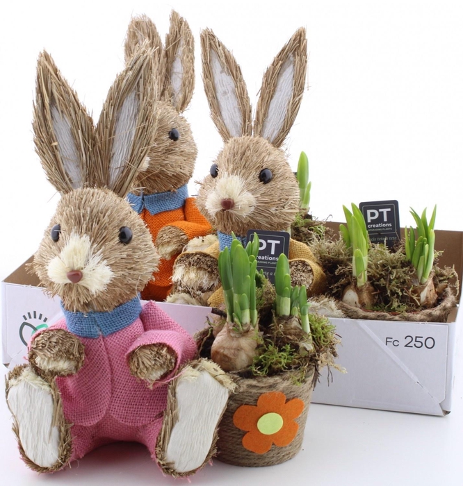 <h4>ARR N TETE A TETE</h4>