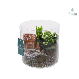 Glas Cilinder Kerst met Arrangement