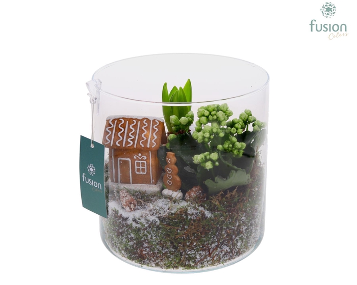 <h4>Glas Cilinder Kerst met Arrangement</h4>