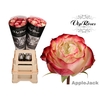 R GR APPLE JACK COLD