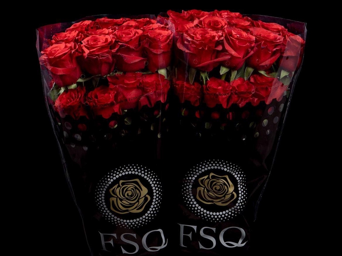 <h4>R GR Mamma Mia</h4>