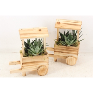 arr3 SN  Houten marktkraam