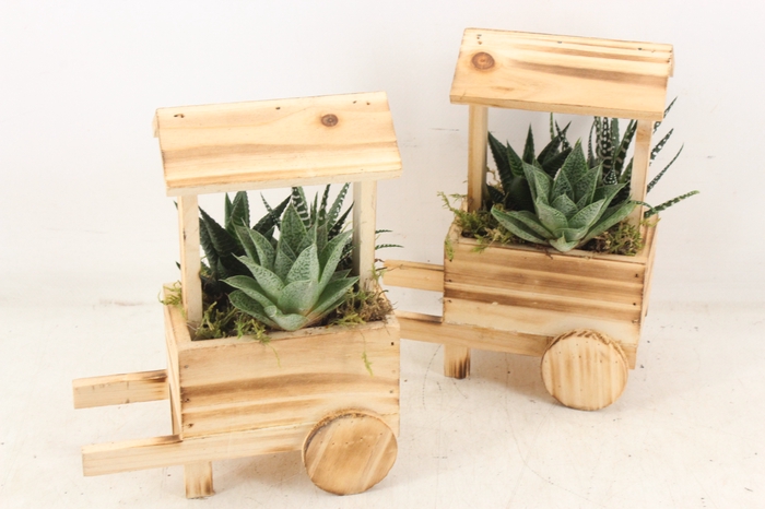 <h4>arr3 SN  Houten marktkraam</h4>