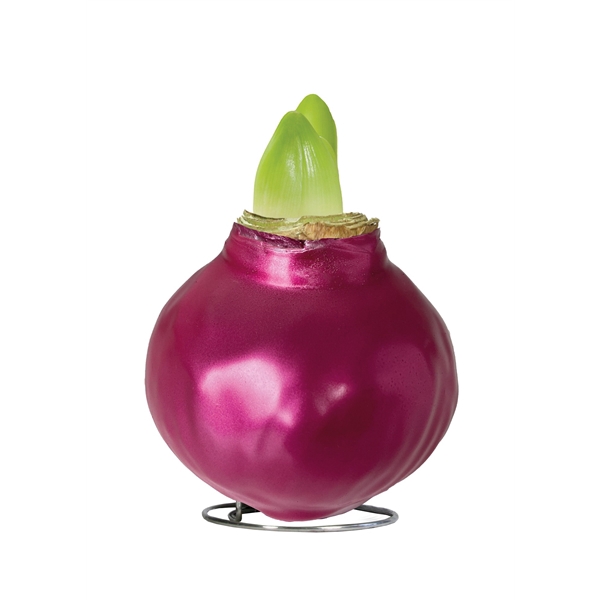 <h4>Amaryllis Touch of Wax Metallic Cerise 6x1, rode bloem, Tray236</h4>