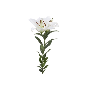 LIRIO ORIENTAL MONTENEU 080 CM HT 3/5 FLS BRANCO