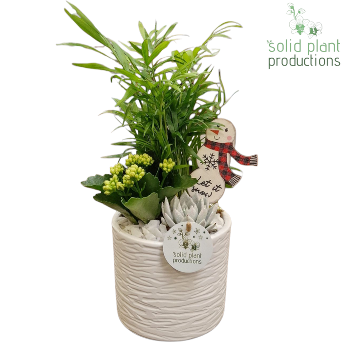 <h4>CH001 Amy White</h4>