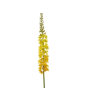 Artificial flowers Eremurus 94cm