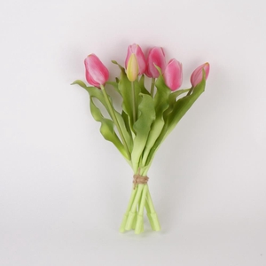 AF Tulip bundle x7 L30cm d.pi