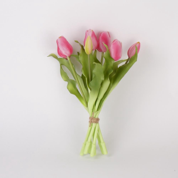 AF Tulip bundle x7 L30cm d.pi