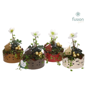 Zinken schaal Small met Kerst arrangement