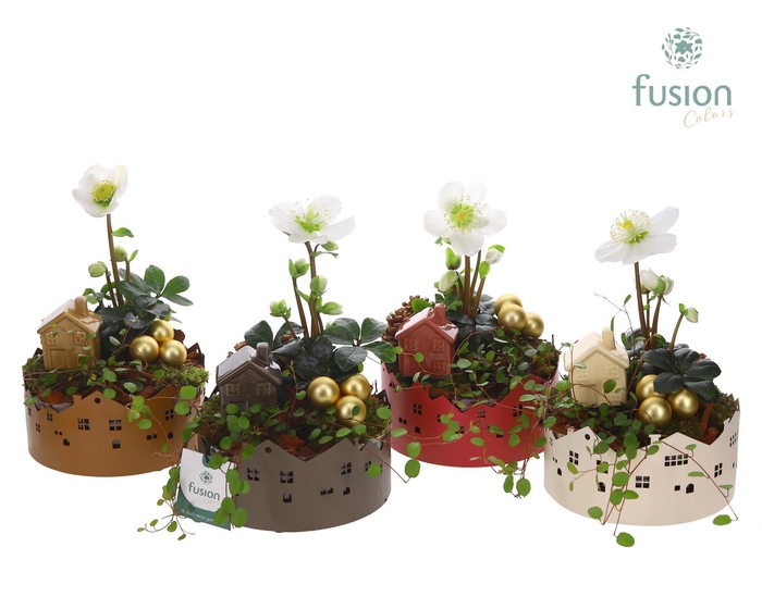 <h4>Zinken schaal Small met Kerst arrangement</h4>