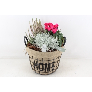 arr4 Outdoor MB - Draadmand home hoog
