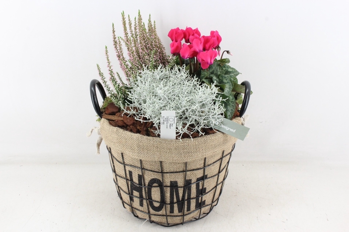 <h4>arr4 Outdoor MB - Draadmand home hoog</h4>