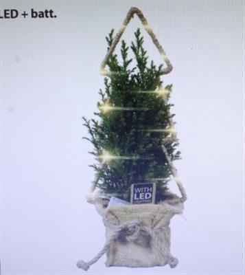 <h4>25187 LED JUTE PICEA</h4>