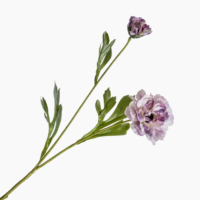 Ranunculus Spray Purple FL440297PRP