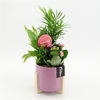 Arrangementen kamerplanten bloeiend H%