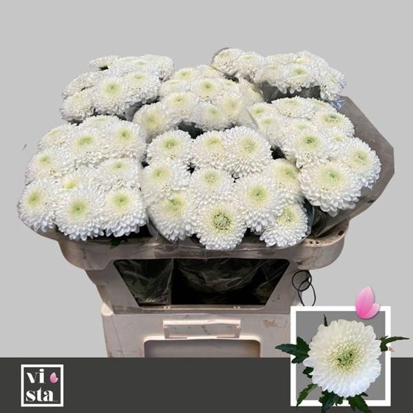 <h4>CHR G SUPERBOWL</h4>