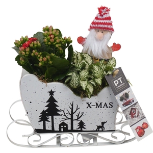 Deco Christmas Arrangement 19Ø 25cm