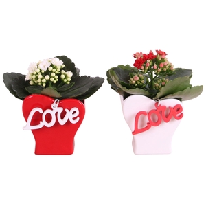 Valentine Arr. Indoor Ceramic Heartshape Vase Red/White Ø09cm 1P