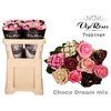 R GR CHOCO DREAM MIX 998