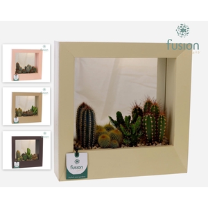 Houten schilderij met spiegel Large met Cactussen