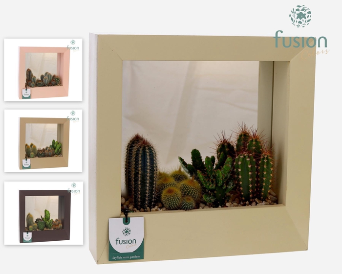 <h4>Houten schilderij met spiegel Large met Cactussen</h4>